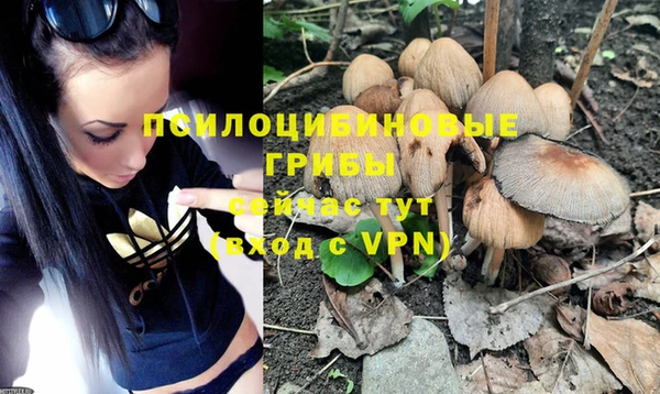 шишки Балахна
